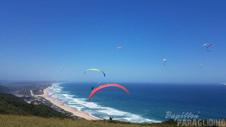 Paragliding-Suedafrika-324