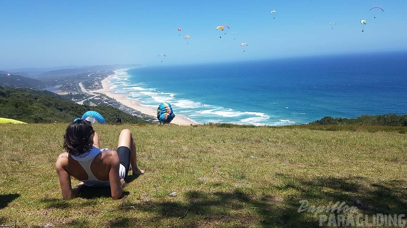 Paragliding-Suedafrika-326.jpg