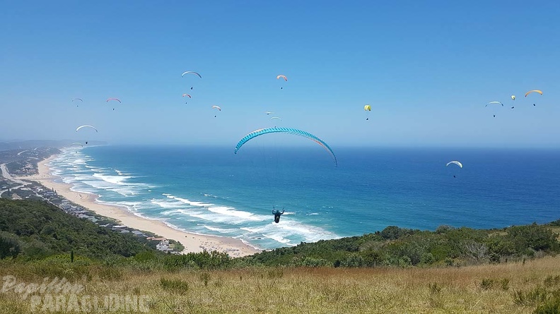 Paragliding-Suedafrika-329