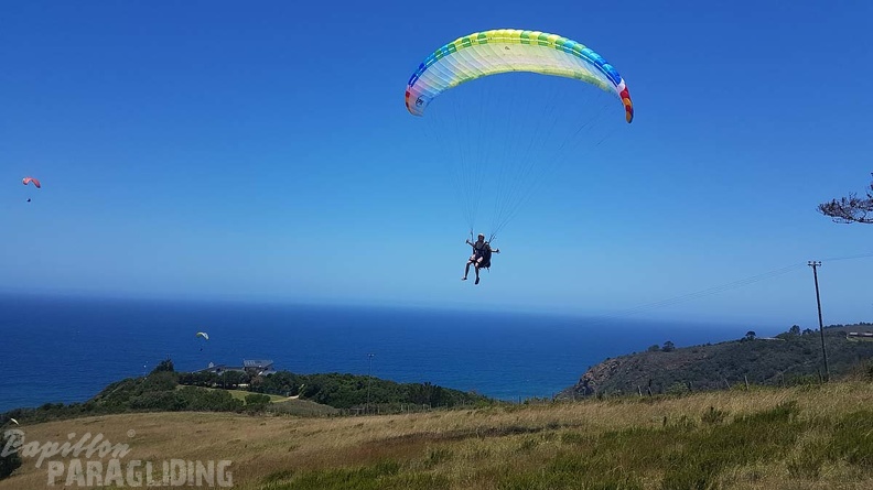 Paragliding-Suedafrika-333