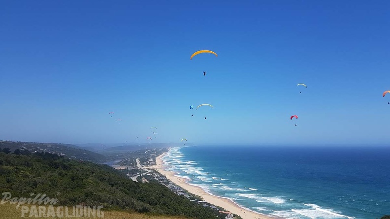 Paragliding-Suedafrika-336.jpg