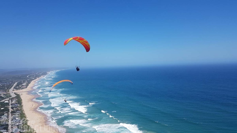 Paragliding-Suedafrika-338.jpg