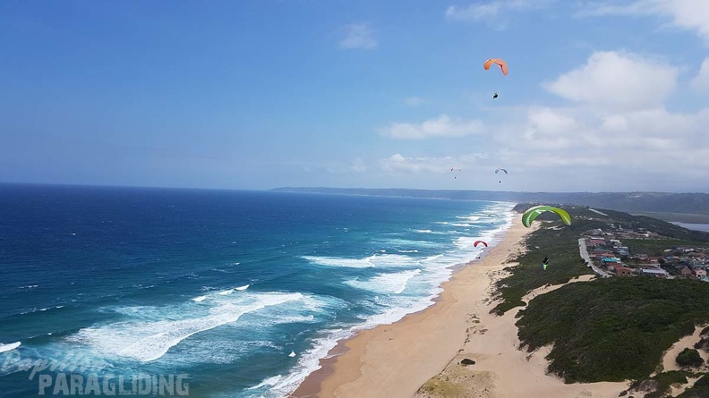 Paragliding-Suedafrika-431