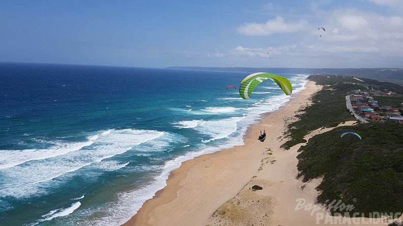 Paragliding-Suedafrika-433