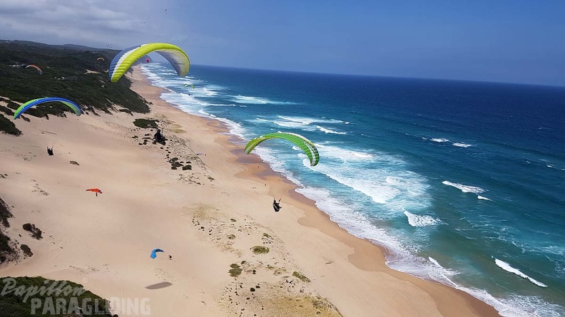 Paragliding-Suedafrika-445