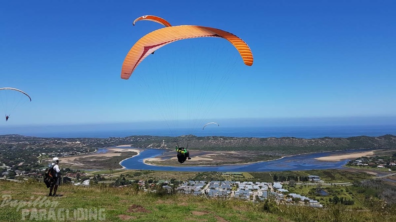 Paragliding-Suedafrika-490