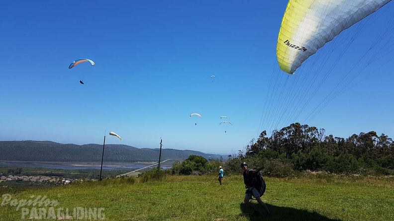 Paragliding-Suedafrika-499