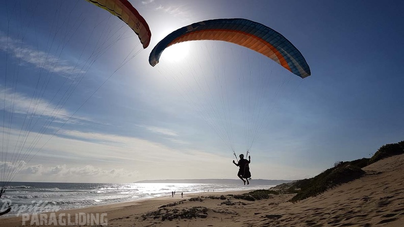 Paragliding-Suedafrika-509