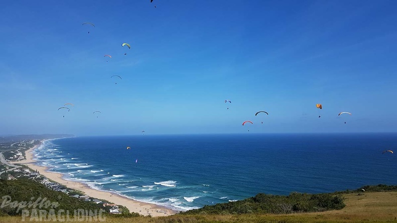 Paragliding-Suedafrika-634