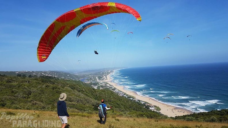 Paragliding-Suedafrika-640