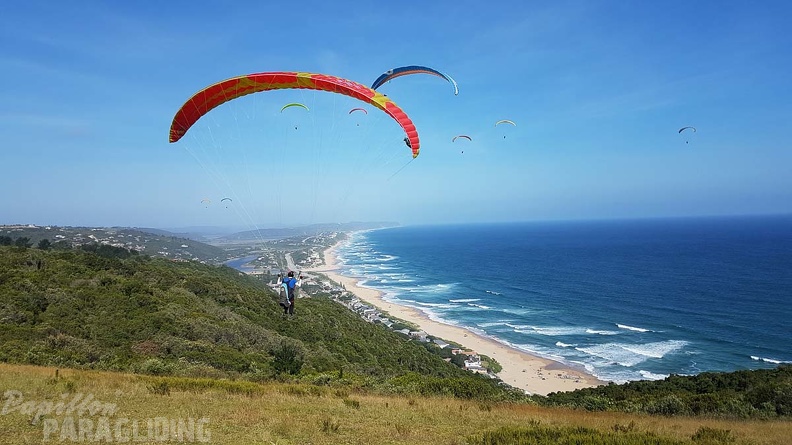 Paragliding-Suedafrika-641