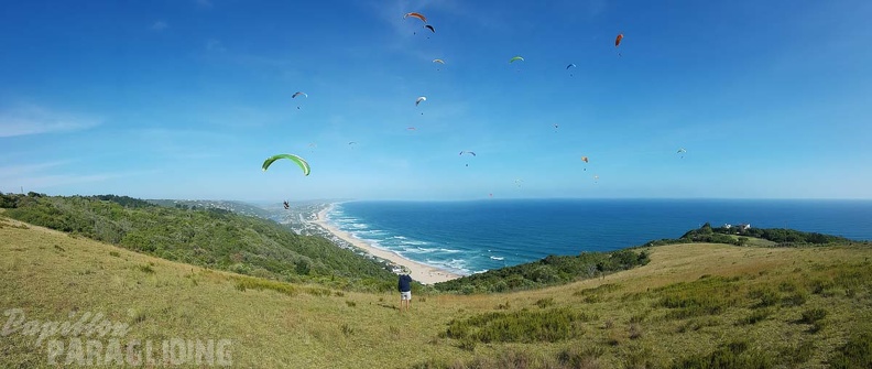 Paragliding-Suedafrika-642