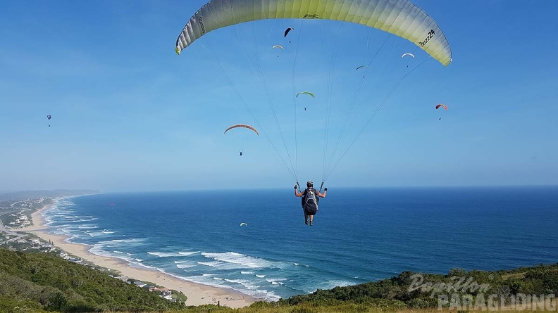 Paragliding-Suedafrika-647