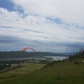 Paragliding-Suedafrika-676