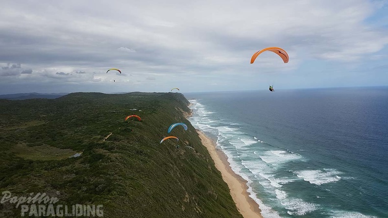 Paragliding-Suedafrika-691
