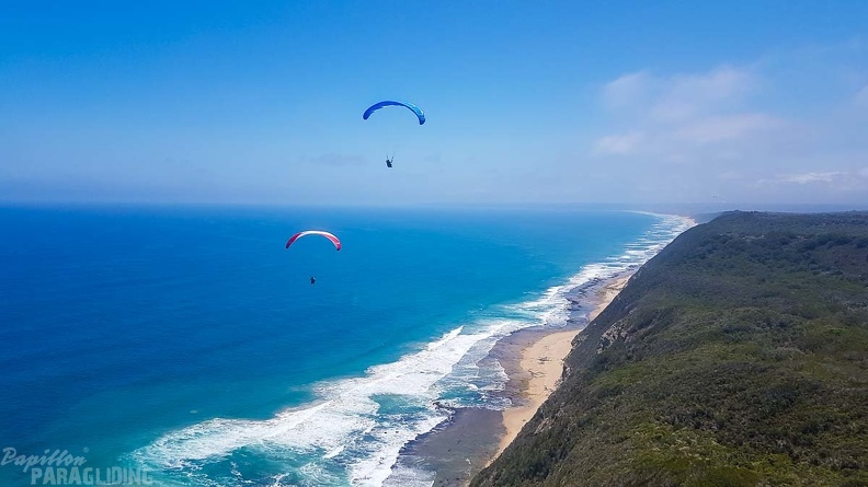 Suedafrika Paragliding-225
