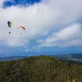 Suedafrika Paragliding-265