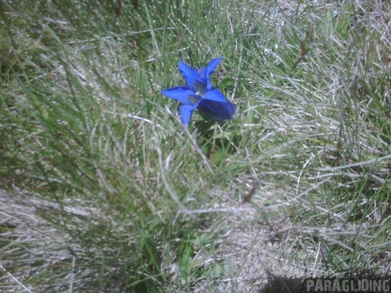 2011_FU1_Suedtirol_Paragliding_010.jpg