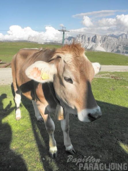 2011 FU1 Suedtirol Paragliding 110