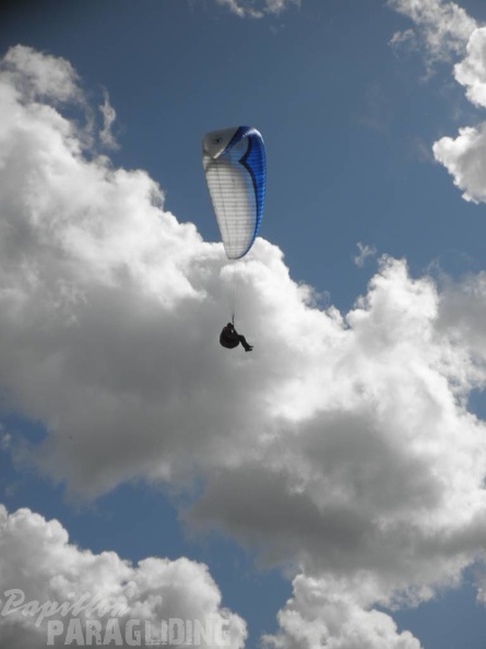 2011 FU1 Suedtirol Paragliding 167