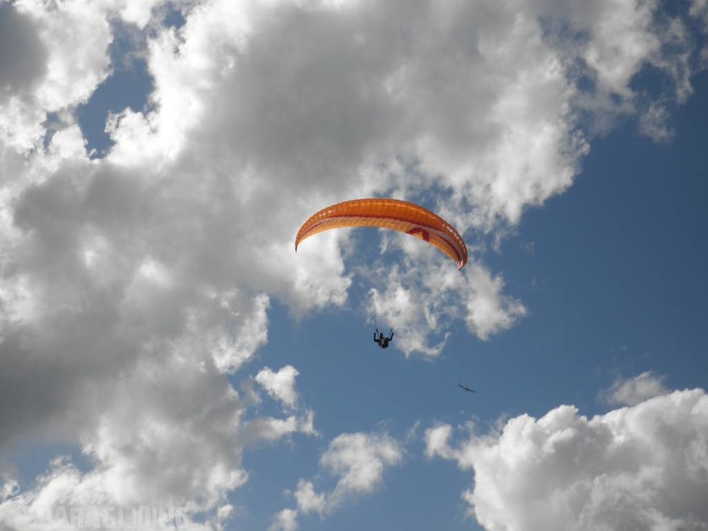 2011 FU1 Suedtirol Paragliding 170