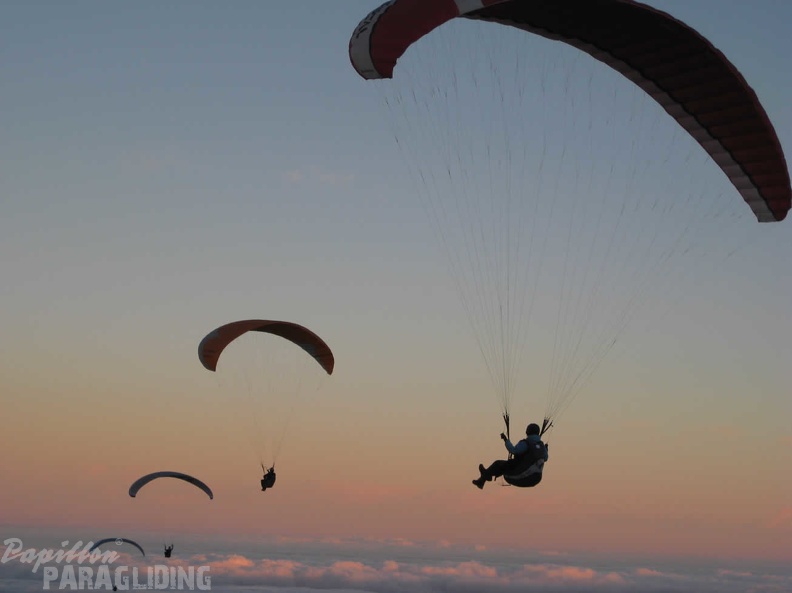 2009 Teneriffa Paragliding 010