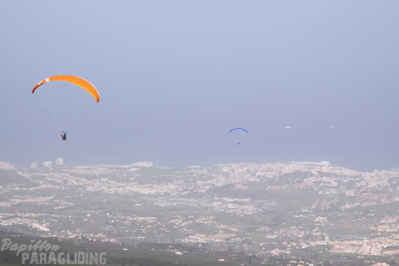 2009 Teneriffa Paragliding 055