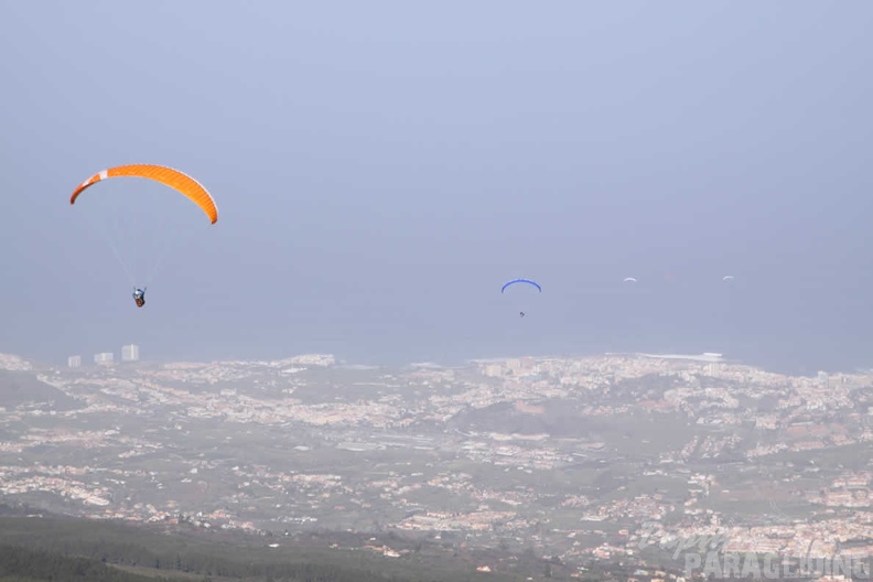 2009 Teneriffa Paragliding 055