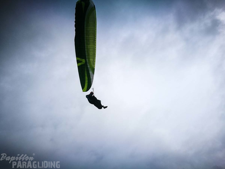 FZ37.17 Zoutelande-Paragliding-386
