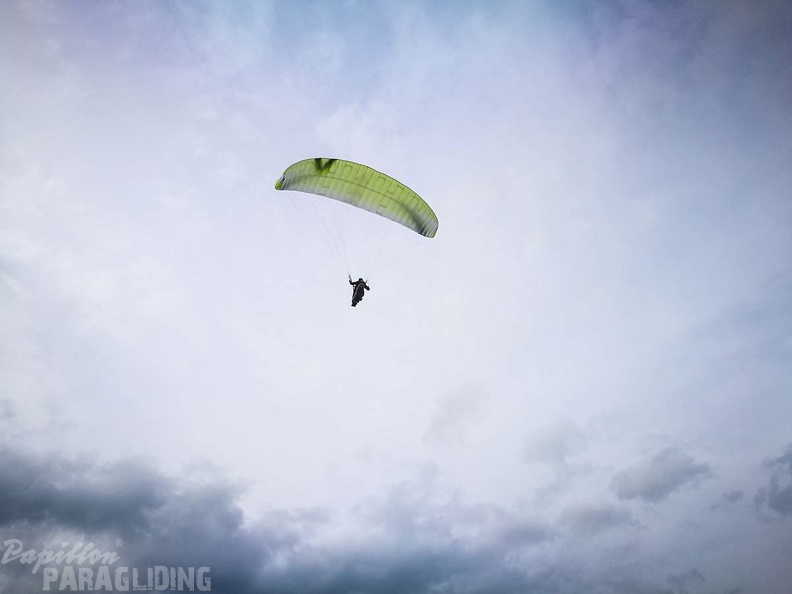 FZ37.17 Zoutelande-Paragliding-413
