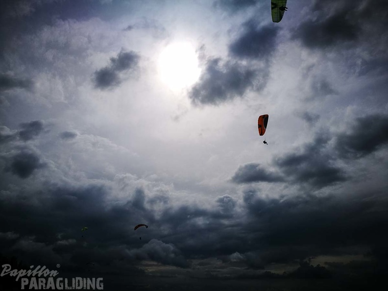 FZ37.17_Zoutelande-Paragliding-425.jpg