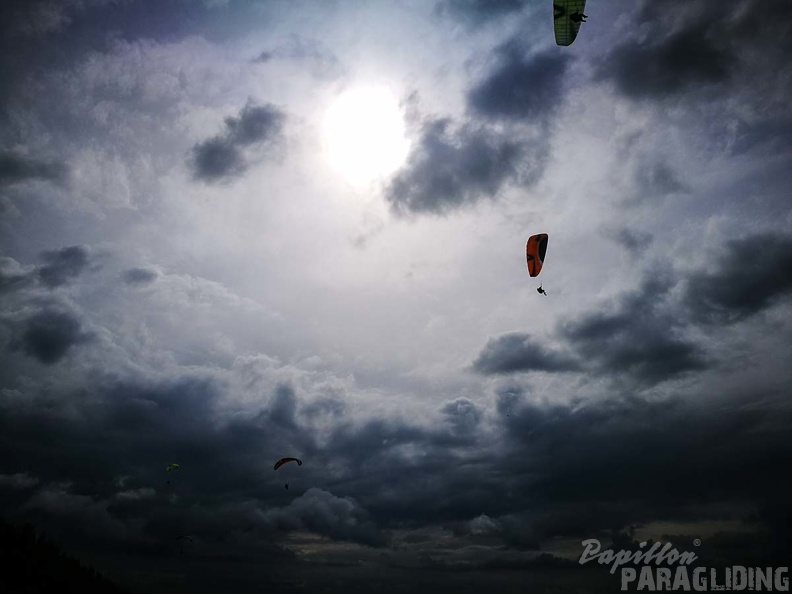 FZ37.17 Zoutelande-Paragliding-425