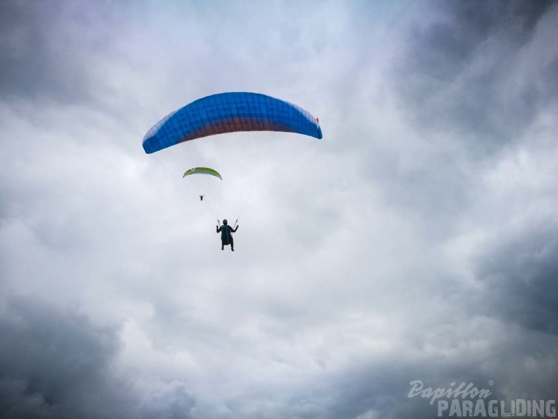 FZ37.17 Zoutelande-Paragliding-441