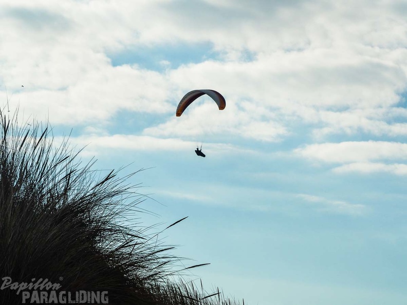 FZ37.18 Zoutelande-Paragliding-551