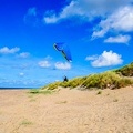 FZ37.18 Zoutelande-Paragliding-769