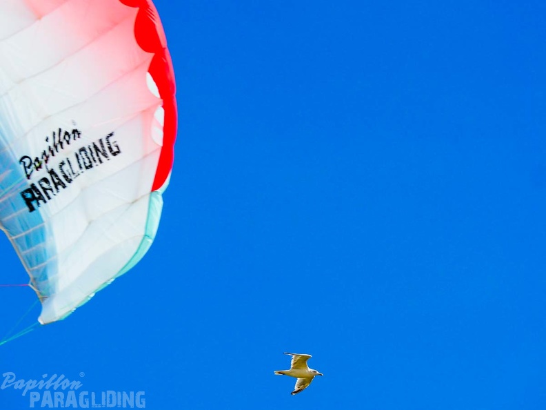 FZ37.18 Zoutelande-Paragliding-882