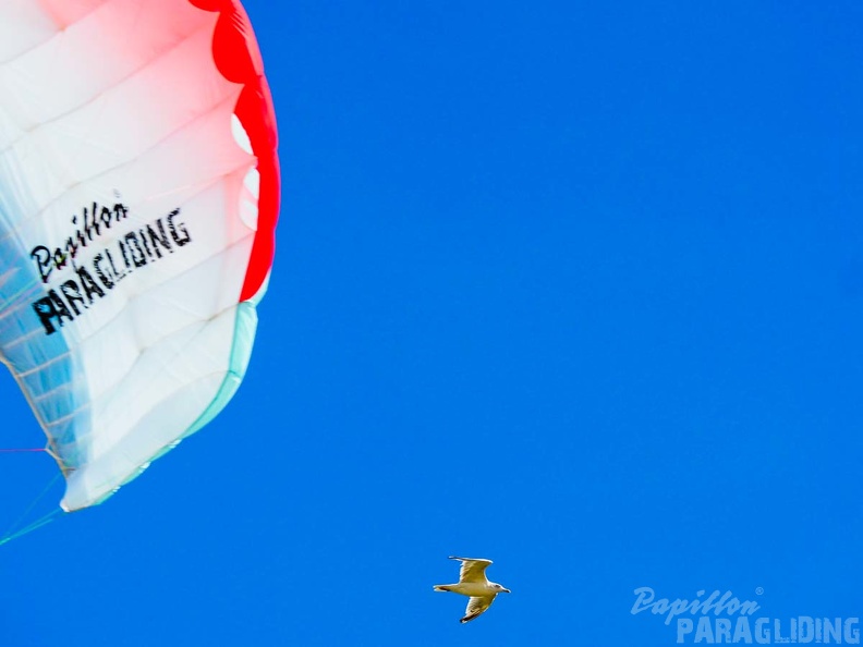 FZ37.18 Zoutelande-Paragliding-882