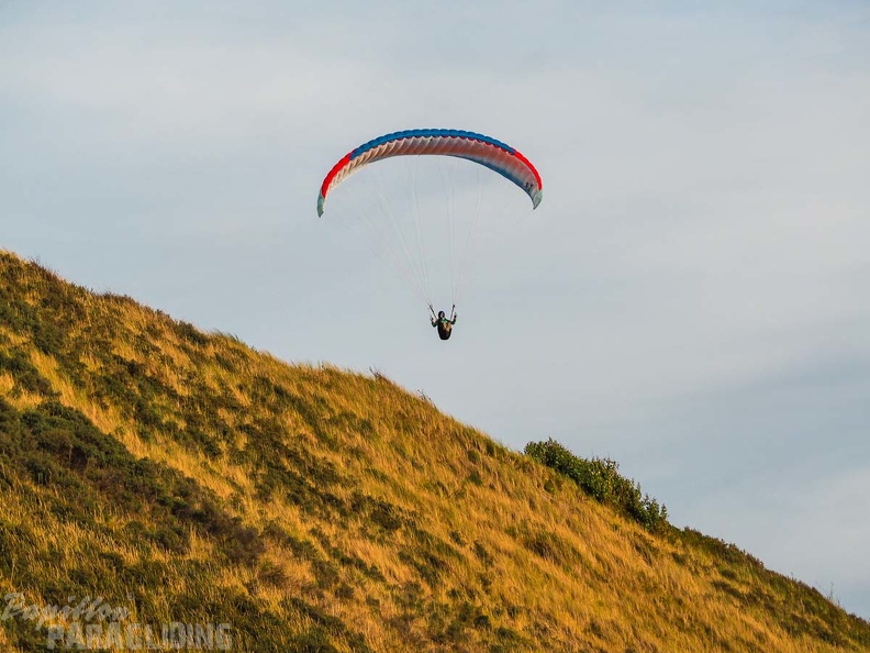 FZ37.18 Zoutelande-Paragliding-888