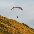 FZ37.18 Zoutelande-Paragliding-888