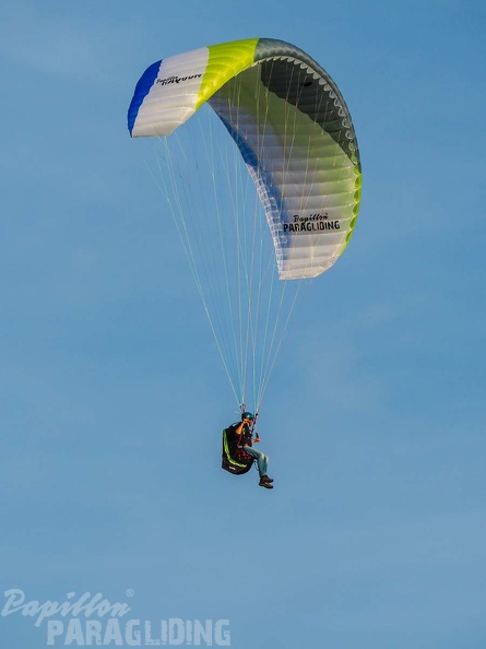 FZ37.18 Zoutelande-Paragliding-891