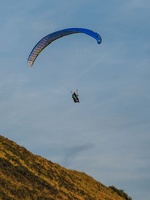 FZ37.18 Zoutelande-Paragliding-898