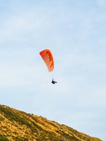 FZ37.18 Zoutelande-Paragliding-906