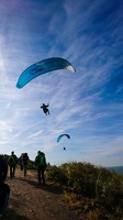 FZ37.19 Zoutelande-Paragliding-111