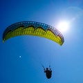 FZ37.19 Zoutelande-Paragliding-326