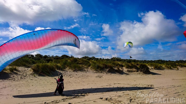 FZ37.19 Zoutelande-Paragliding-507