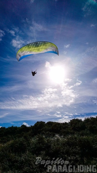 FZ37.19 Zoutelande-Paragliding-515