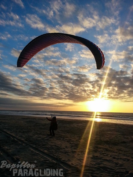 Paragliding Zoutelande-112