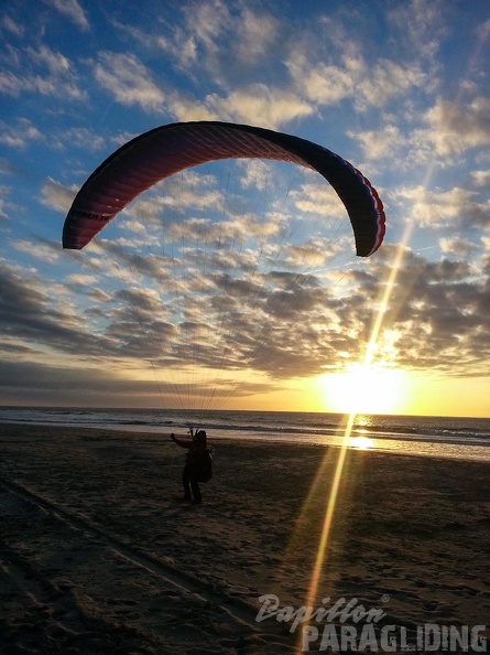 Paragliding Zoutelande-112