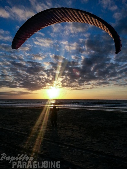Paragliding Zoutelande-113