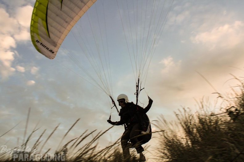 Paragliding Zoutelande-166